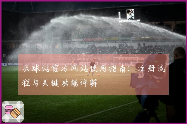 买球站官方网站使用指南：注册流程与关键功能详解