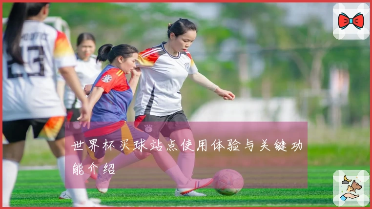 世界杯买球站点使用体验与关键功能介绍