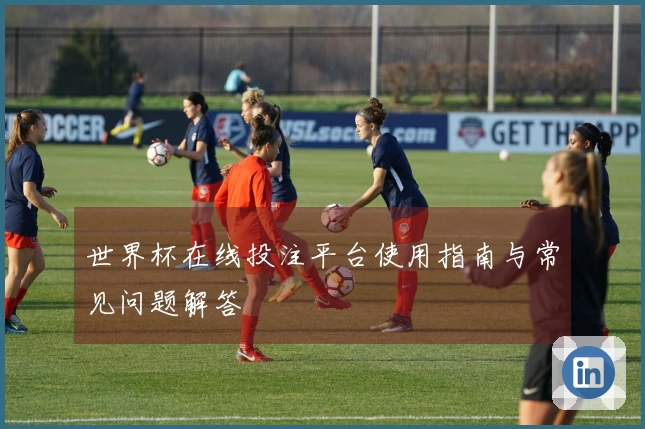 世界杯在线投注平台使用指南与常见问题解答