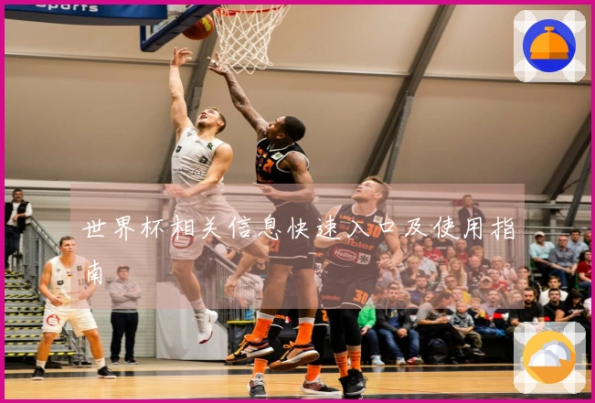 世界杯相关信息快速入口及使用指南